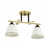 Люстра на штанге LUMION 4544/2C