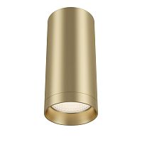 Накладной светильник Maytoni Technical C010CL-01MG