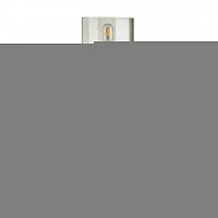 Настольная лампа Odeon Light 4850/1T