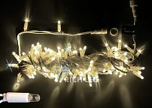Светодиодная гирлянда Rich LED RL-S10CF-24V-CW/WW