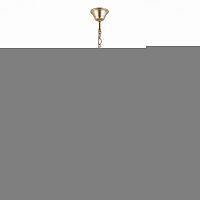 Подвесная люстра ST-Luce SL659.303.06