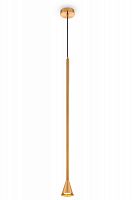 Подвесной светильник Maytoni Technical P064PL-01G