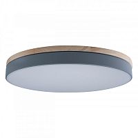 Накладной светильник LOFT IT 10001/36 Grey