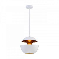 Подвесной светильник LOFT IT LOFT2213-A