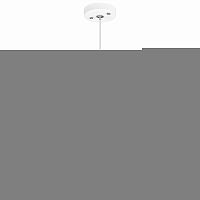 Подвесной светильник Lightstar RP496437