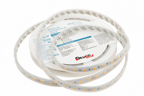 designled DSG560-24-WW-65