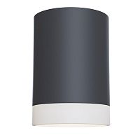Накладной светильник Maytoni Technical C008CW-01B