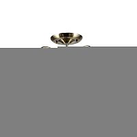 Люстра на штанге ARTE Lamp A2709PL-5AB
