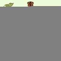 Подвесной светильник LOFT GRLSP-9650
