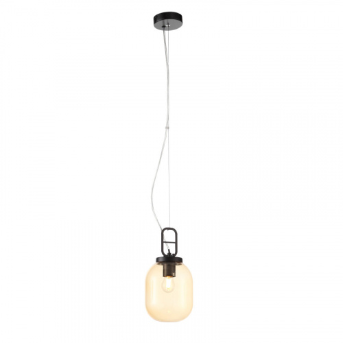 Подвесной светильник ST-Luce SL1050.403.01