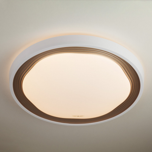 Накладной светильник Eurosvet 40006/1 LED кофе