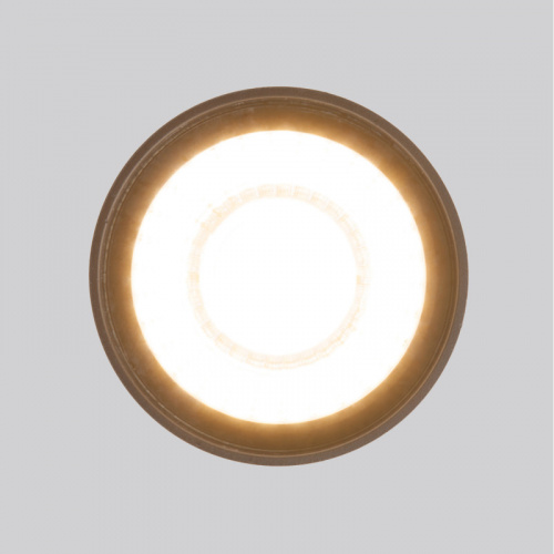 Уличный светильник Elektrostandard Light LED 2105 (35132/H) черный фото 4