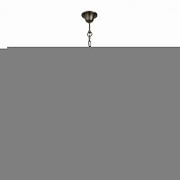 Подвесная люстра ST-Luce SL226.303.05