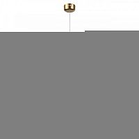 Подвесной светильник Odeon Light 4792/16L