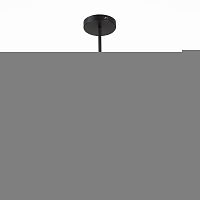 Люстра на штанге ST-Luce SL1605.413.06