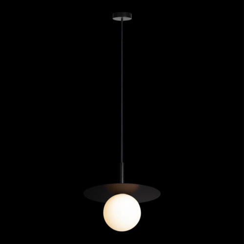Подвесной светильник LOFT IT 10120/250P Black фото 3