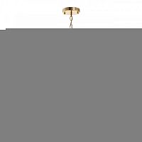Подвесная люстра Odeon Light 4988/8