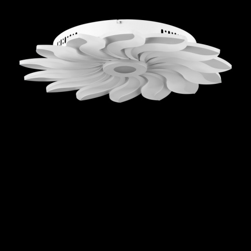 Накладная люстра Freya FR10023CL-L127W фото 8