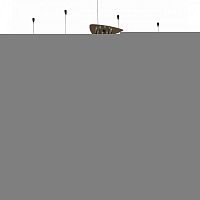 Подвесная люстра LOFT IT LOFT1163-10BL