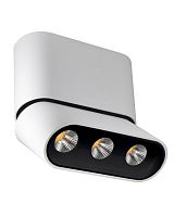 Спот LUMIEN HALL 8005/3CS-WT-BK