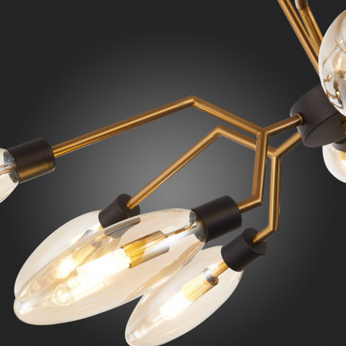 Люстра на штанге ST-Luce SL1174.303.12 фото 6