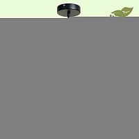Подвесной светильник LOFT GRLSP-9689