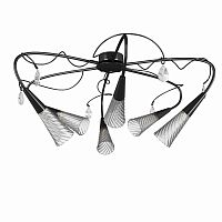 Накладная люстра Lightstar 711067