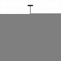 Подвесной светильник LOFT IT 8134-C