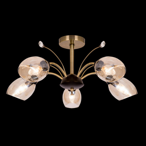 Люстра на штанге Citilux CL108155 фото 3