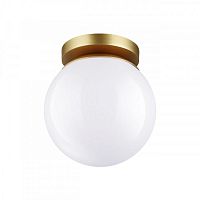 Накладной светильник Odeon Light 4247/1C