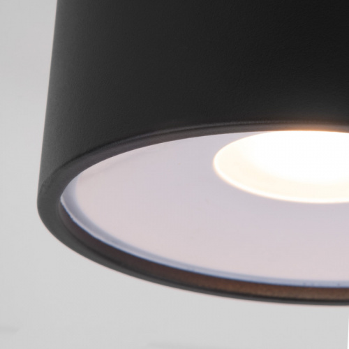 Уличный светильник Elektrostandard Light LED 2135 (35141/H) черный фото 3