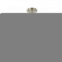 Подвесной светильник Odeon Light 4858/48L