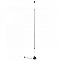 Торшер Odeon Light 4335/18FL
