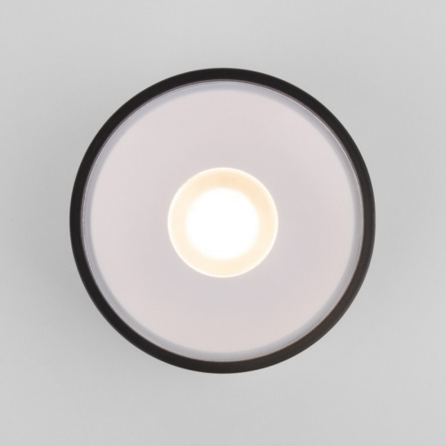 Уличный светильник Elektrostandard Light LED 2135 (35141/H) черный фото 4