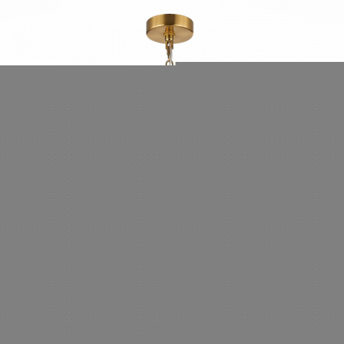 Подвесная люстра ST-Luce SL1166.303.09