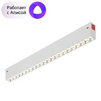 Светильник на шине Denkirs DK8002-WH