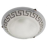 Накладной светильник ARTE Lamp A3650PL-3AB