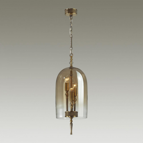 Подвесная люстра Odeon Light 4892/3 фото 4