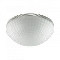 Накладной светильник Odeon Light 4937/3C
