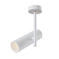 Накладной светильник Maytoni Technical C020CL-01W