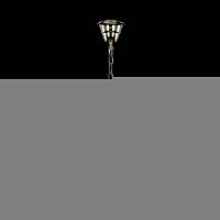 Подвесная люстра Bohemia Ivele Crystal 14771/22 G