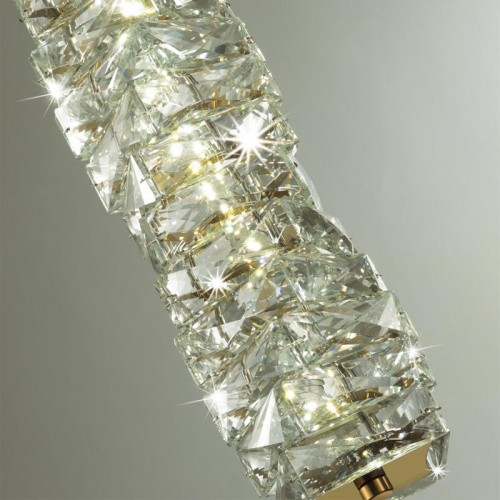 Подвесной светильник Odeon Light 4999/10L фото 5