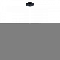 Подвесной светильник LOFT IT LOFT9915-BL
