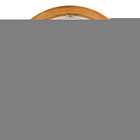 Накладной светильник TOPLIGHT TL9144Y-02PN