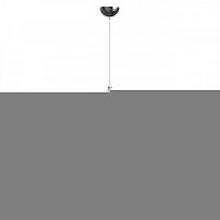 Подвесной светильник LOFT IT 5053-D