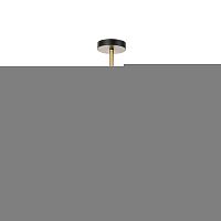 Люстра на штанге ARTE Lamp A3649PL-16PB