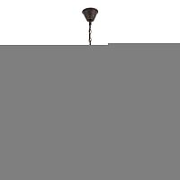 Подвесная люстра ST-Luce SL380.403.05