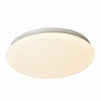 Накладной светильник F-Promo 2469-2C