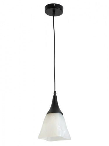 Подвесной светильник TOPLIGHT TL4410D-01BL
