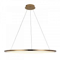 Подвесной светильник LOFT IT 10014XL